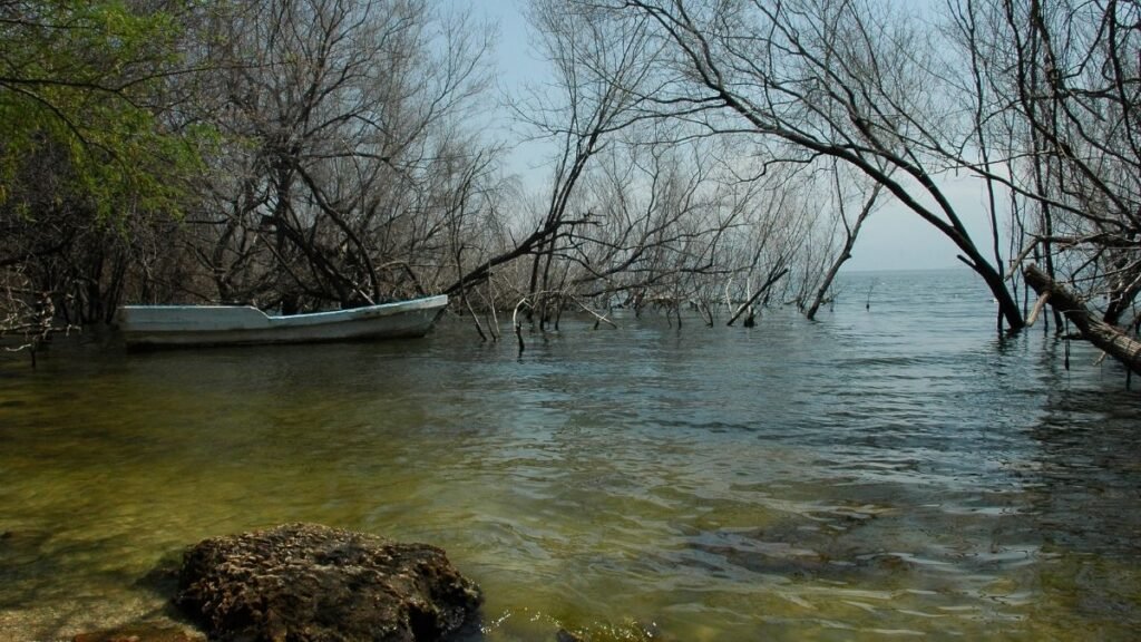 Lake Enriquillo (Lago Enriquillo)