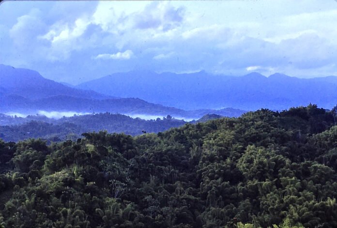 image-of-blue-and-john-crow-mountain