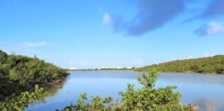 meads-bay-pond-anguilla