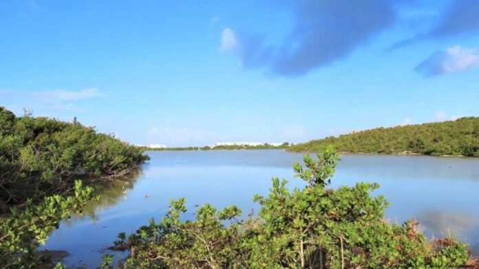 meads-bay-pond-anguilla