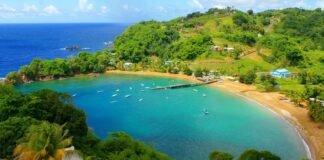 things-to-do-in-tobago