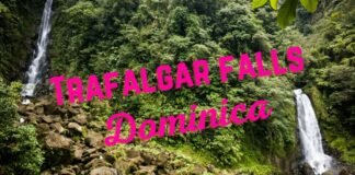 dominica-trafalgar-falls