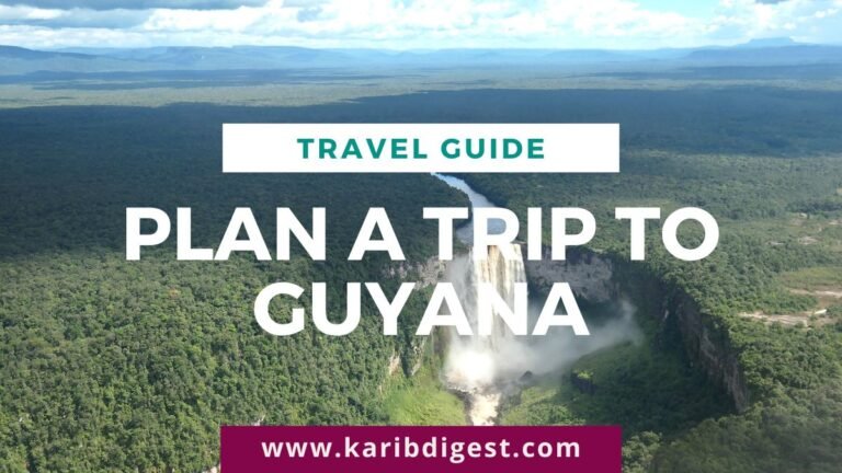 Plan a Trip to Guyana