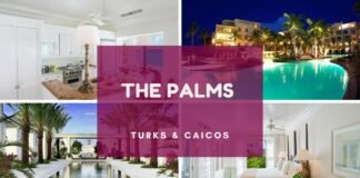 the-palms-turks-and-caicos-islands-hotel