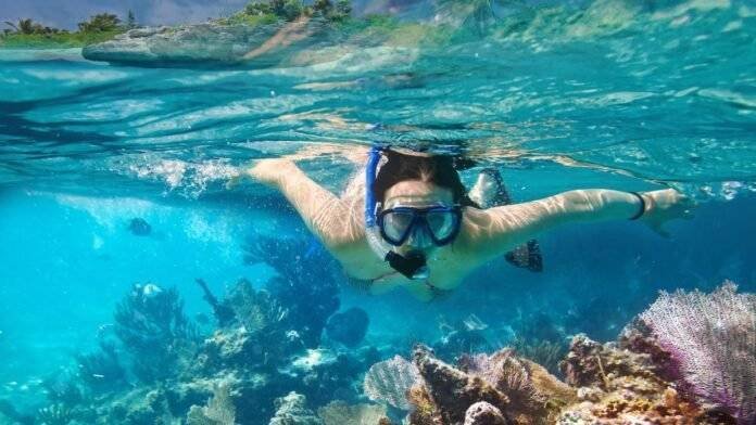 best-caribbean-islands-for-snorkeling