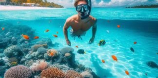 place-caribbean-snorkel